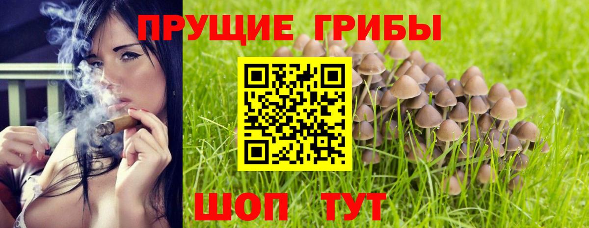 Галлюциногенные грибы мицелий  Вход с VPN  Югорск 